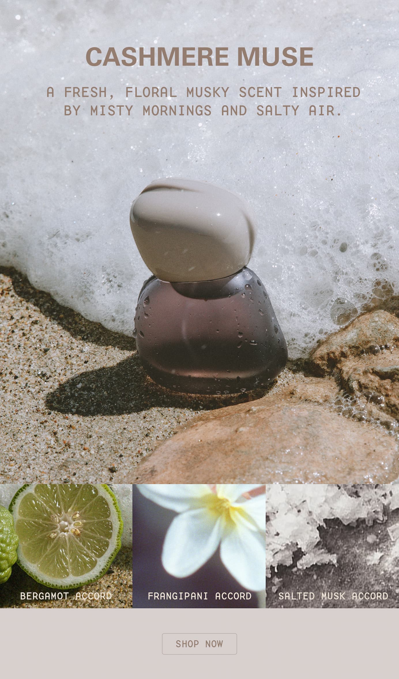 Cashmere Muse - a fresh, floral musky scent inspired by misty mornings and salty air.