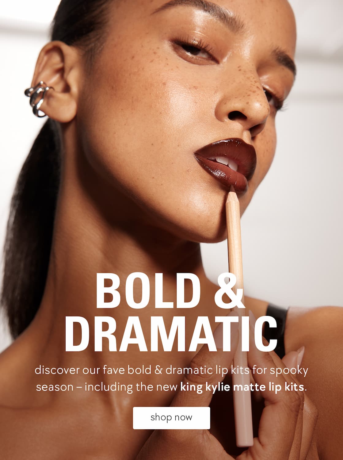 bold & dramatic lip kits