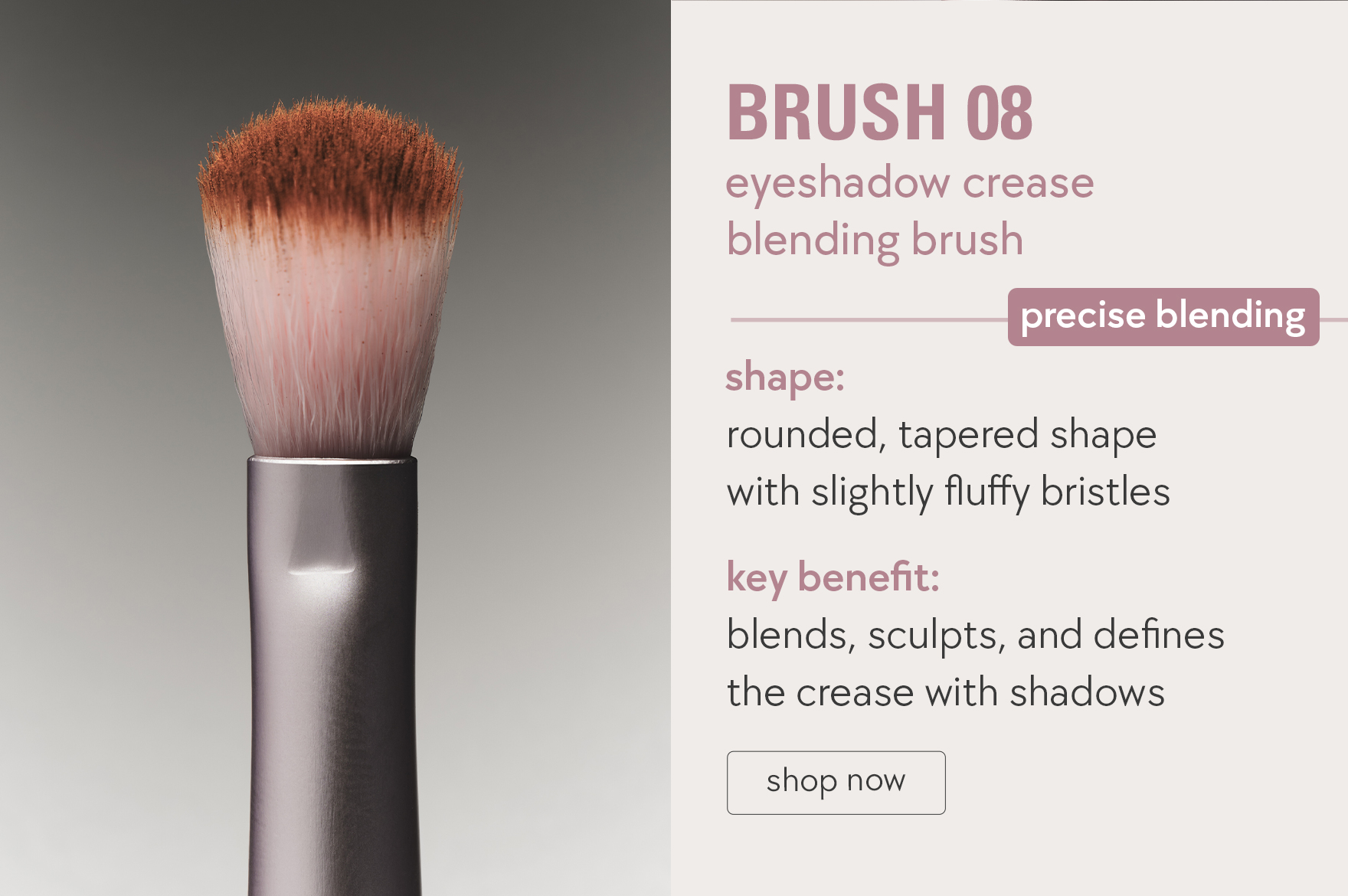 brush 08