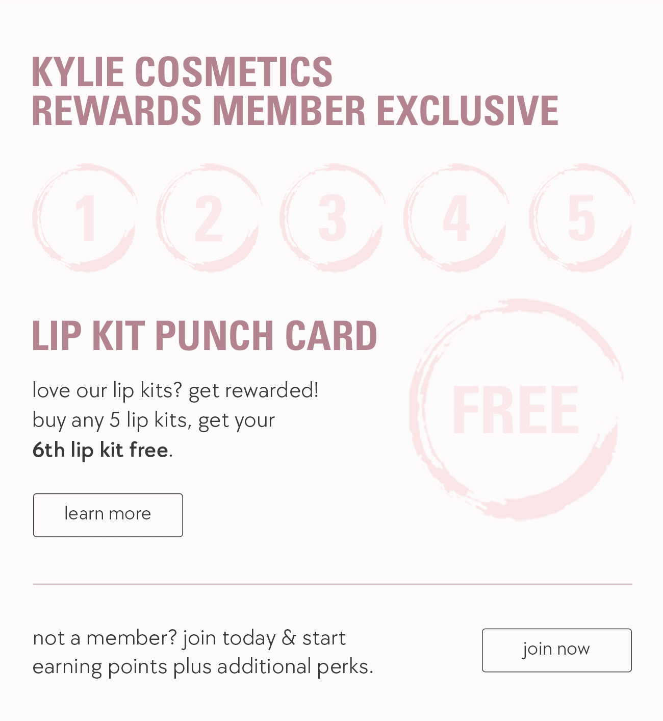 lip kit punch card