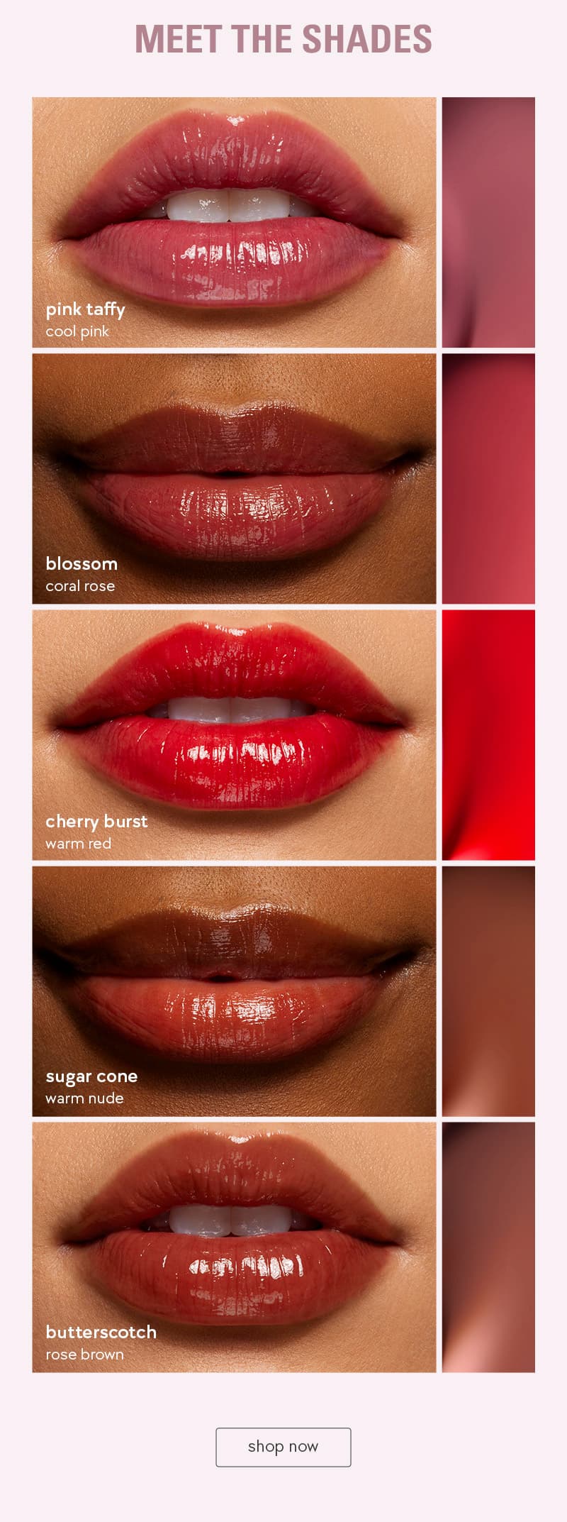 meet the shades