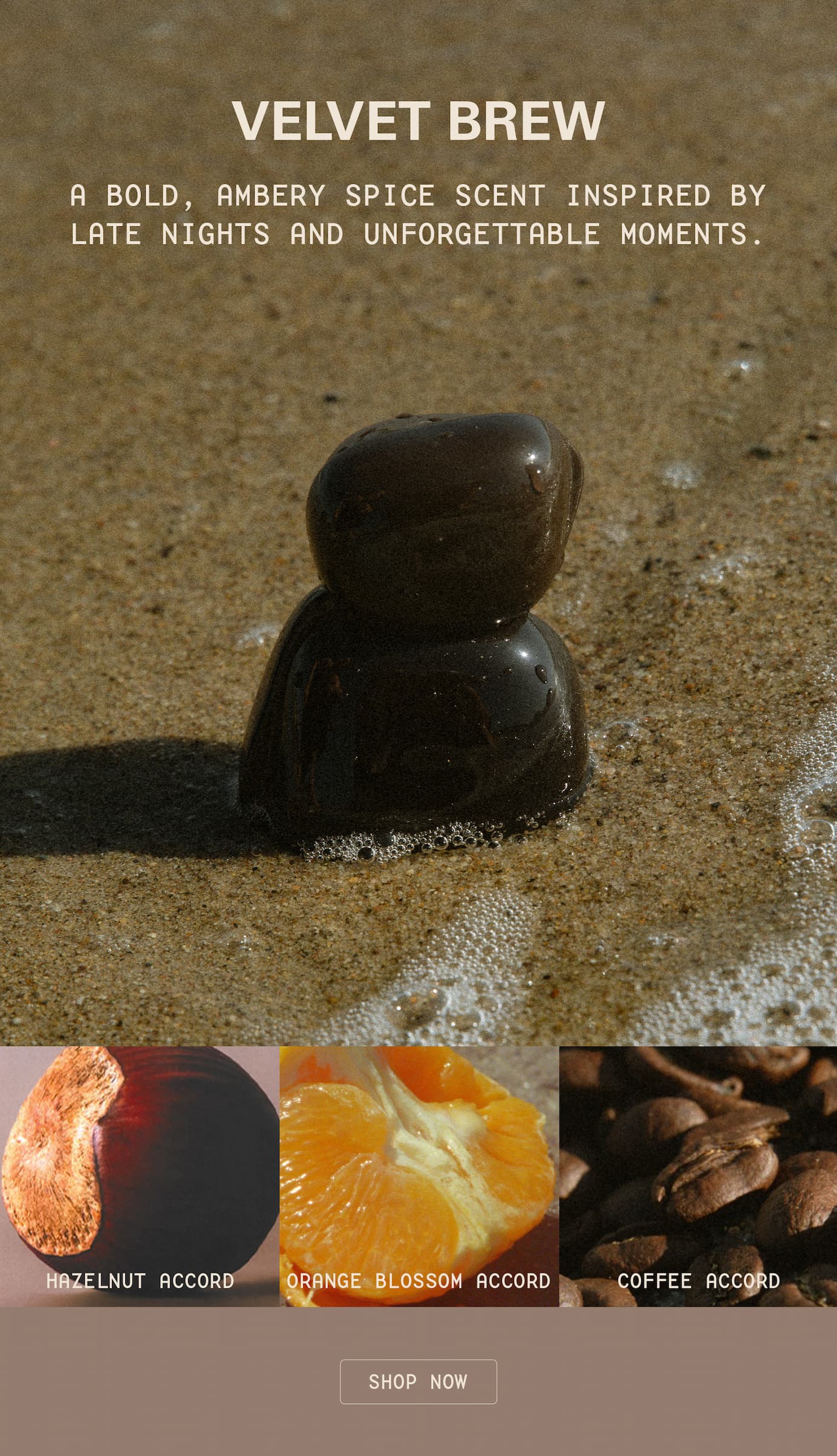 Velvet Brew - a bold, ambery spice scent inspired by late nights and unforgettable moments.