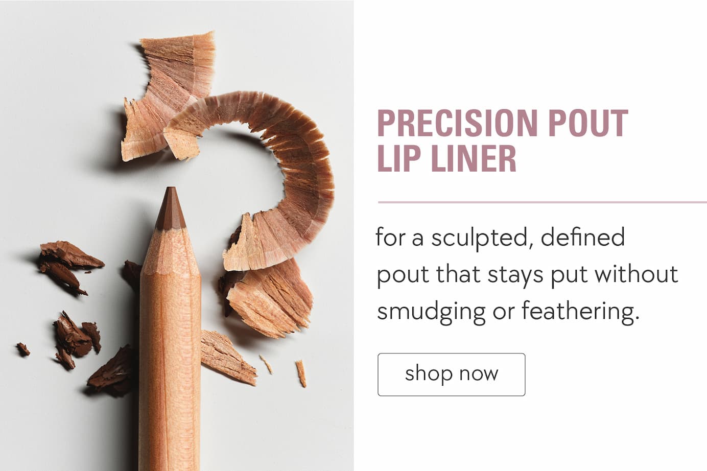 precision pout lip liner