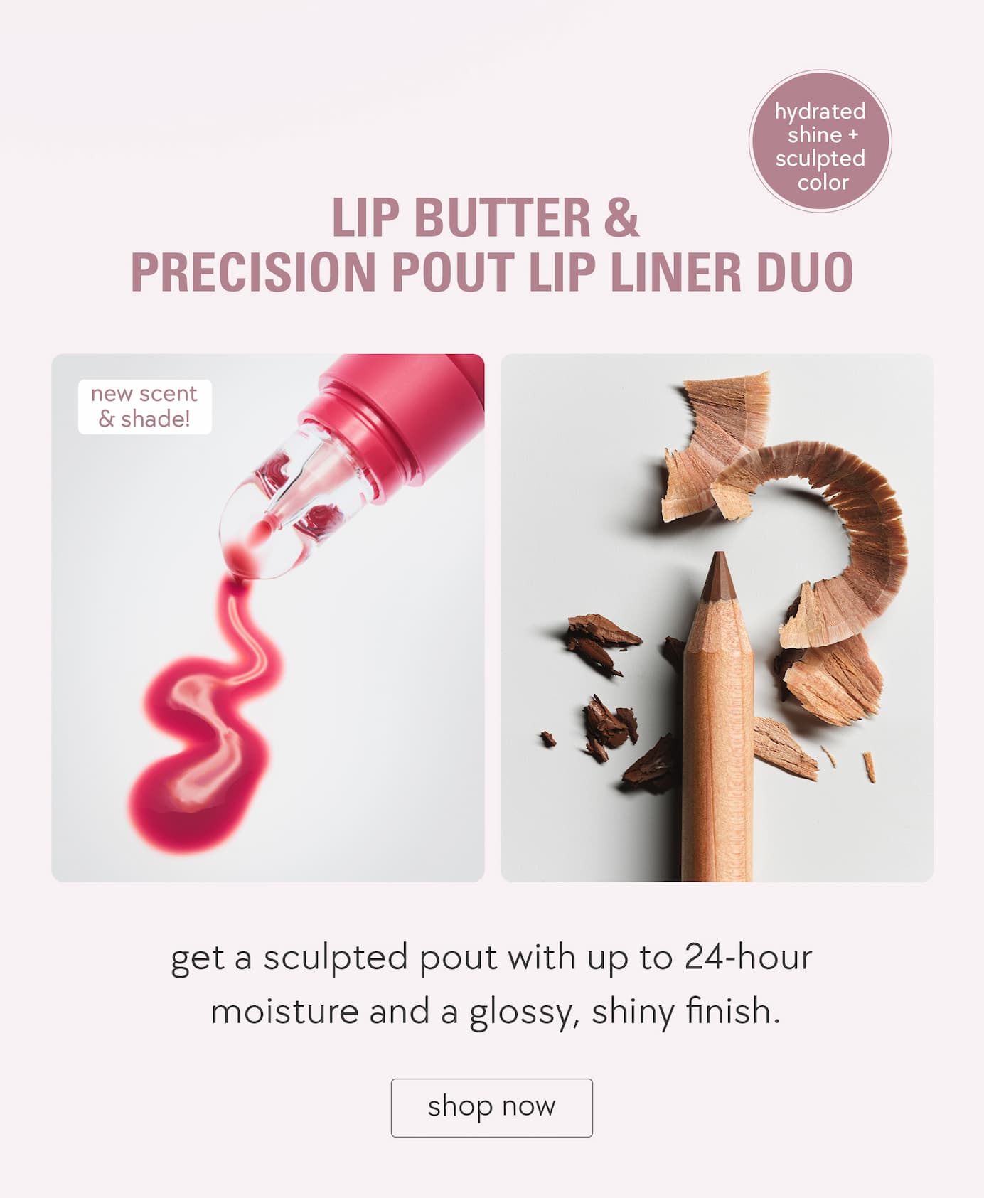 lip butter & precision pout lip liner duo
