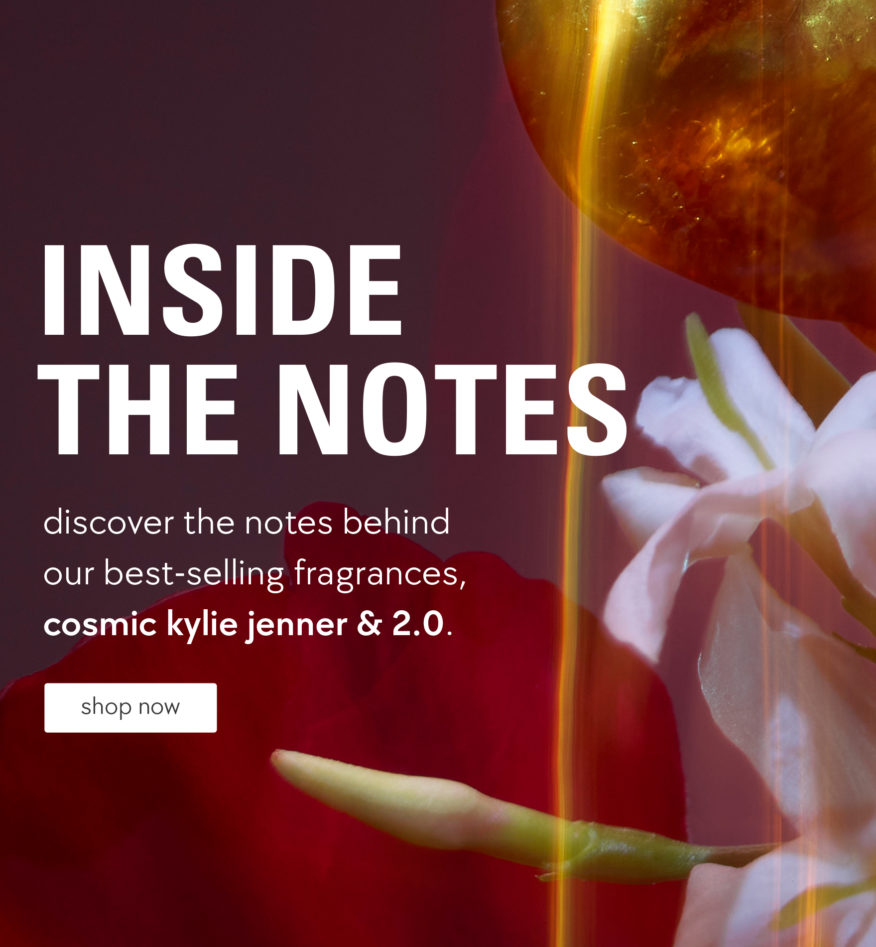 inside the notes