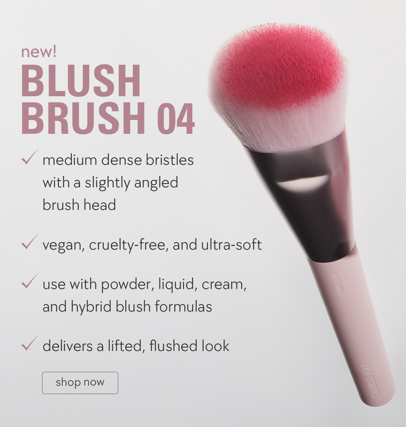 new blush brush 04 new blush brush 04