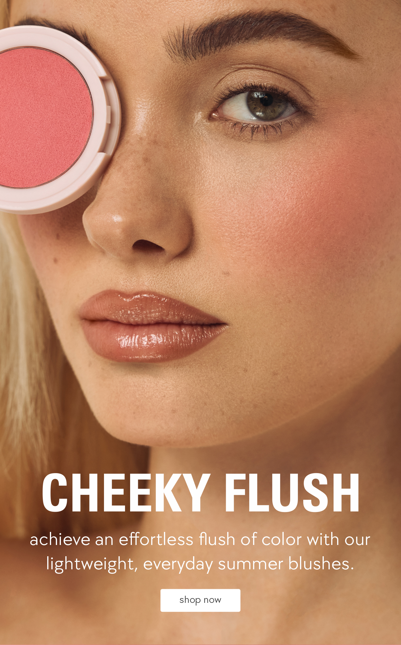 shop everyday summer blushes