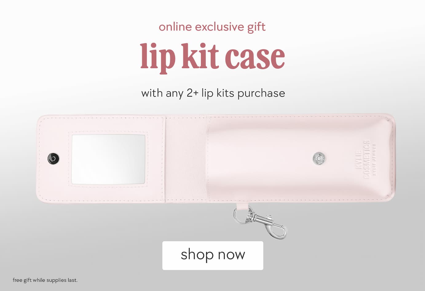 online exclusive gift: lip kit case