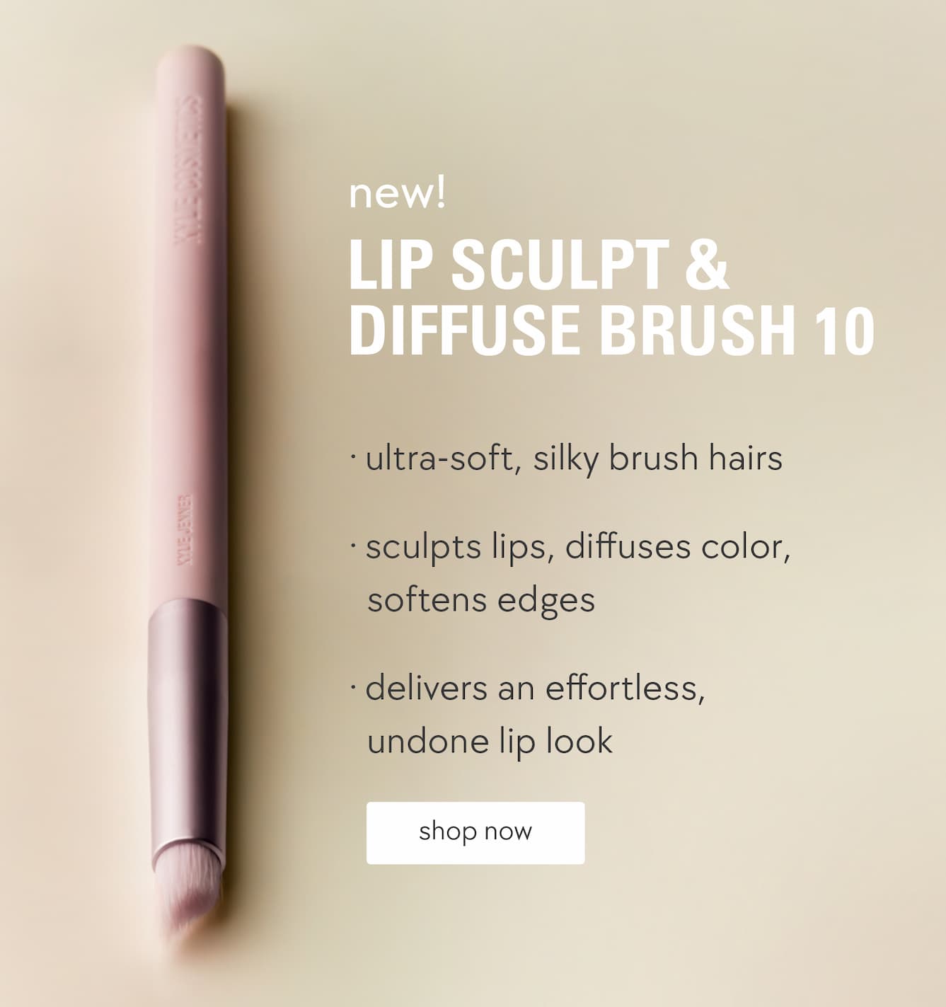 new! lip sculpt & diffuse brush 10