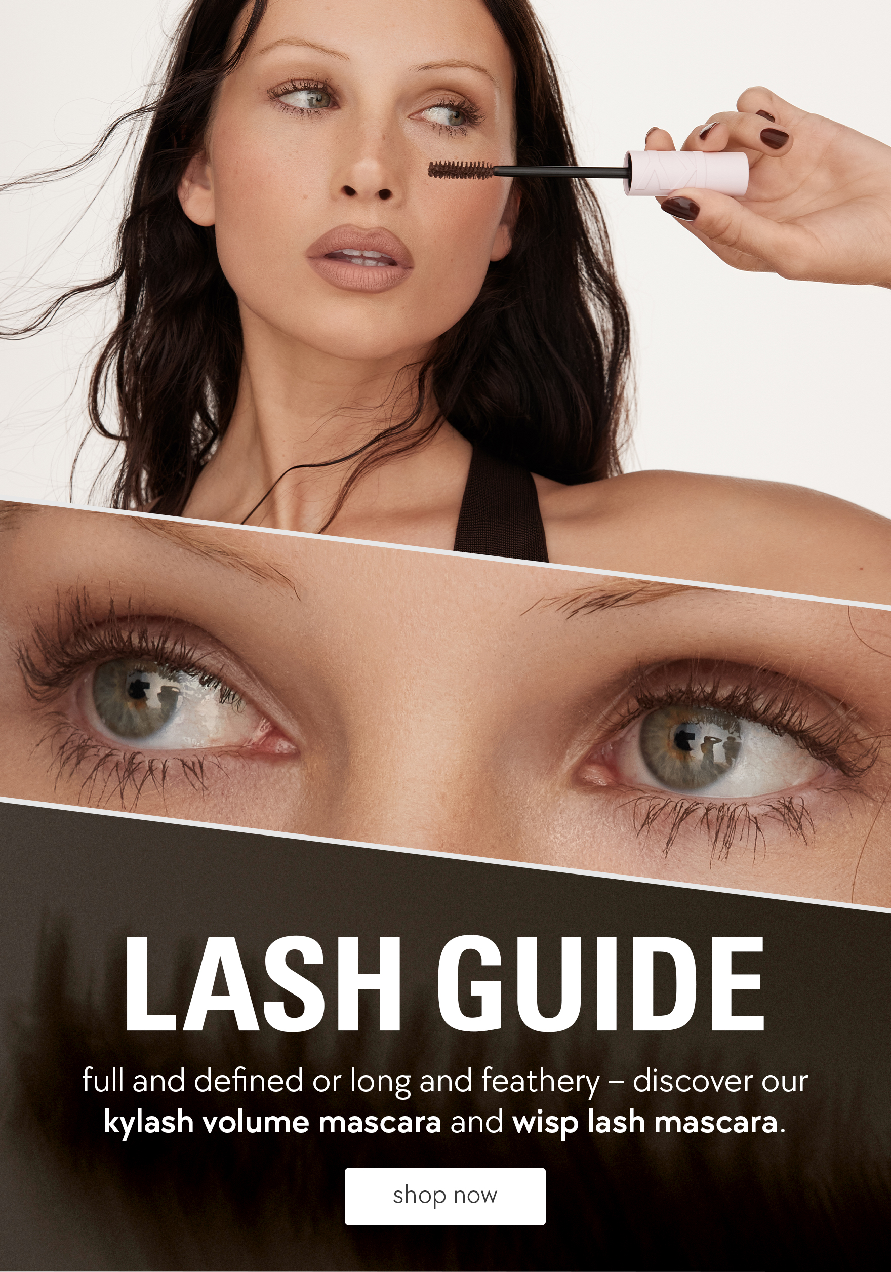 shop our lash guide