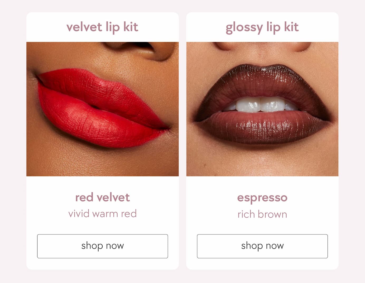 velvet lip kit