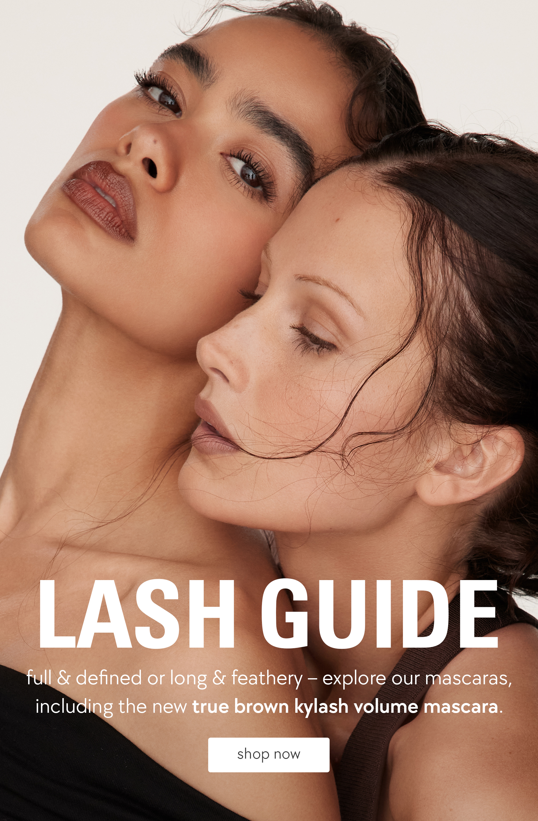 shop our lash guide