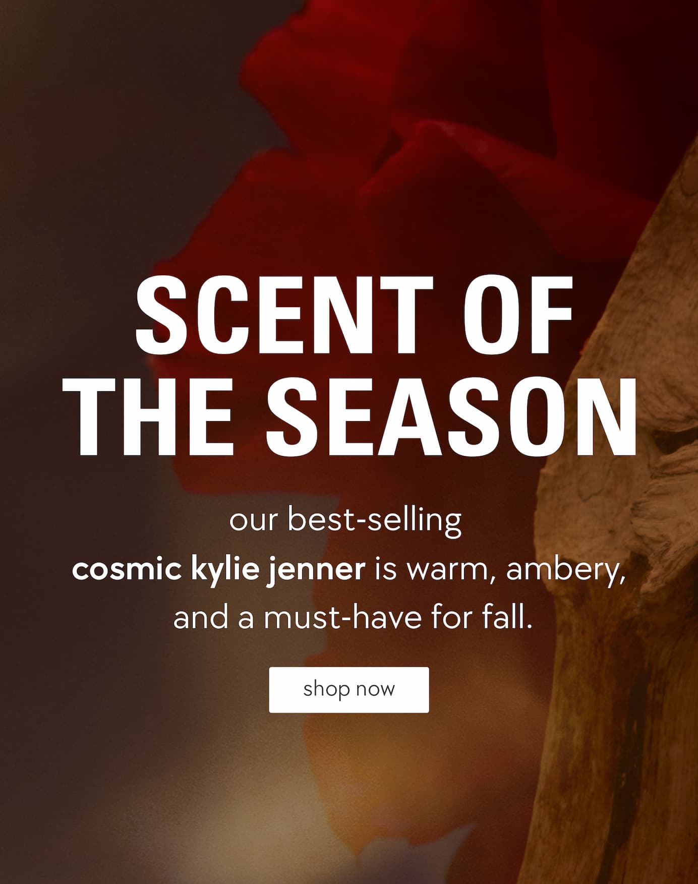 shop cosmic kylie jenner shop cosmic kylie jenner