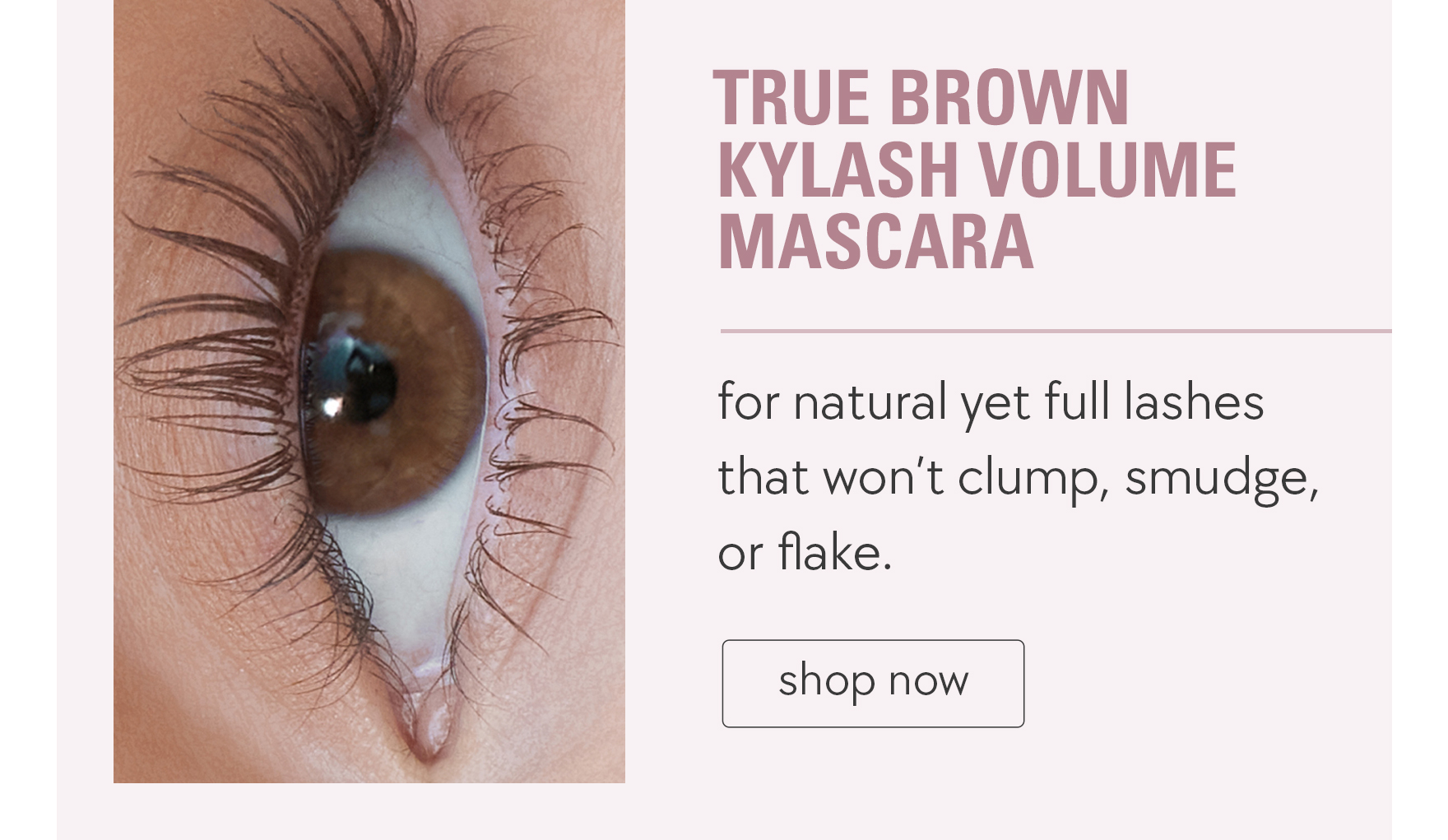 shop true brown kylash volume mascara