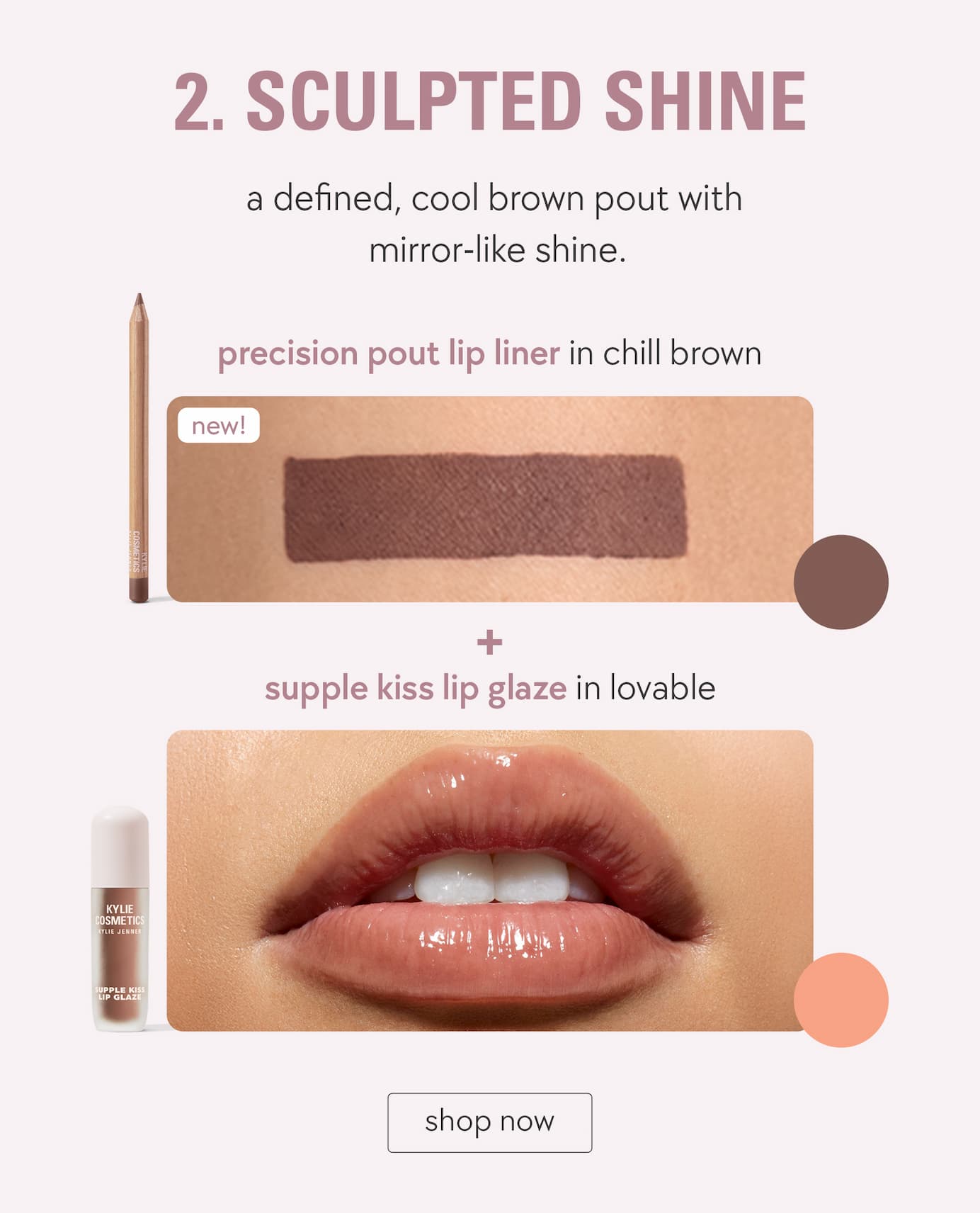 sculpted shine lip combo