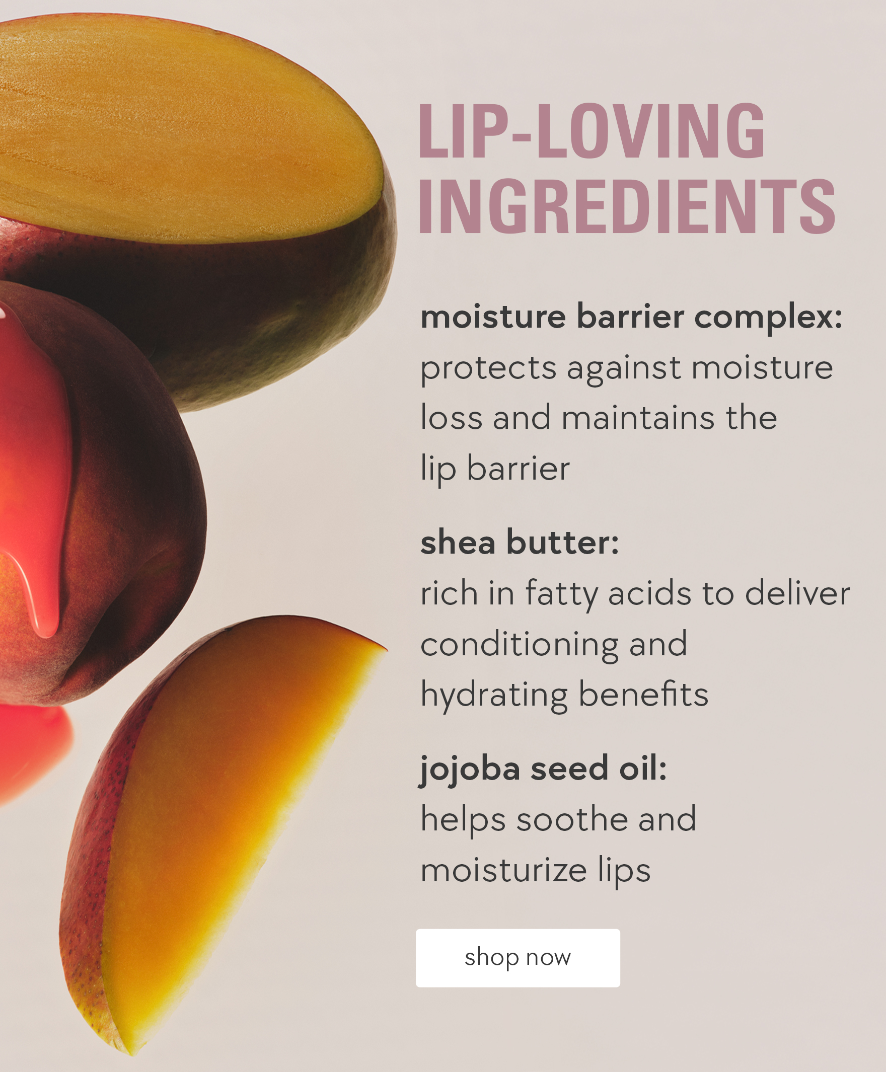 lip-loving ingredients
