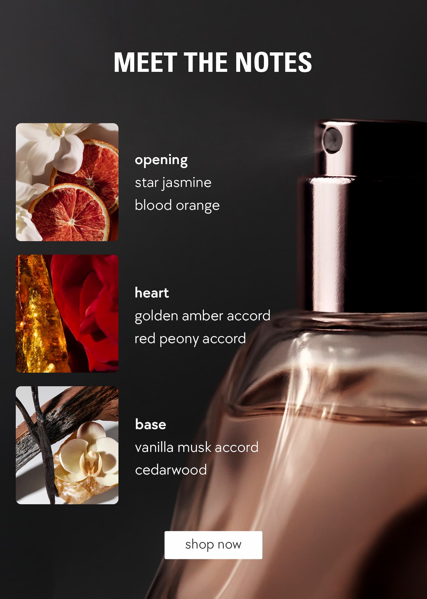 shop cosmic kylie jenner shop cosmic kylie jenner