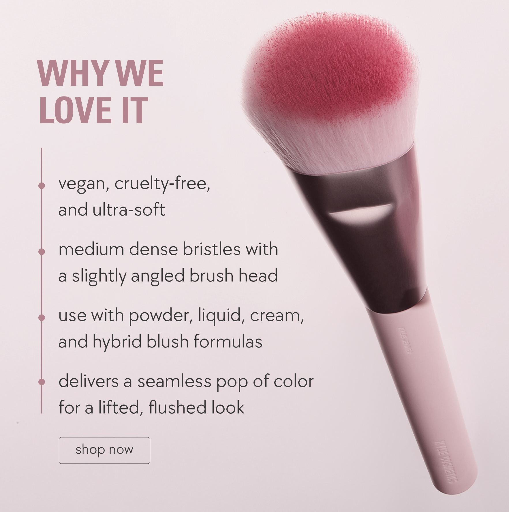 why we love it why we love it