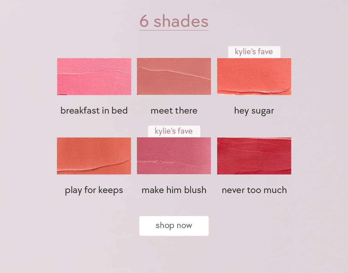 6 powder blush stick shades