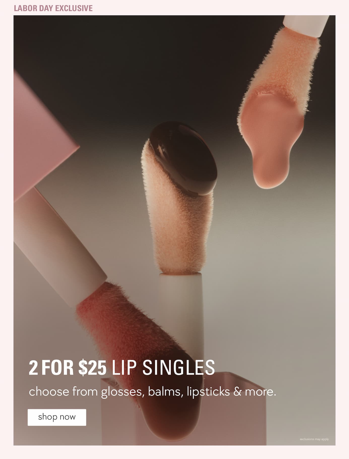 labor day exclusive: 2 for $25 Lip Singles