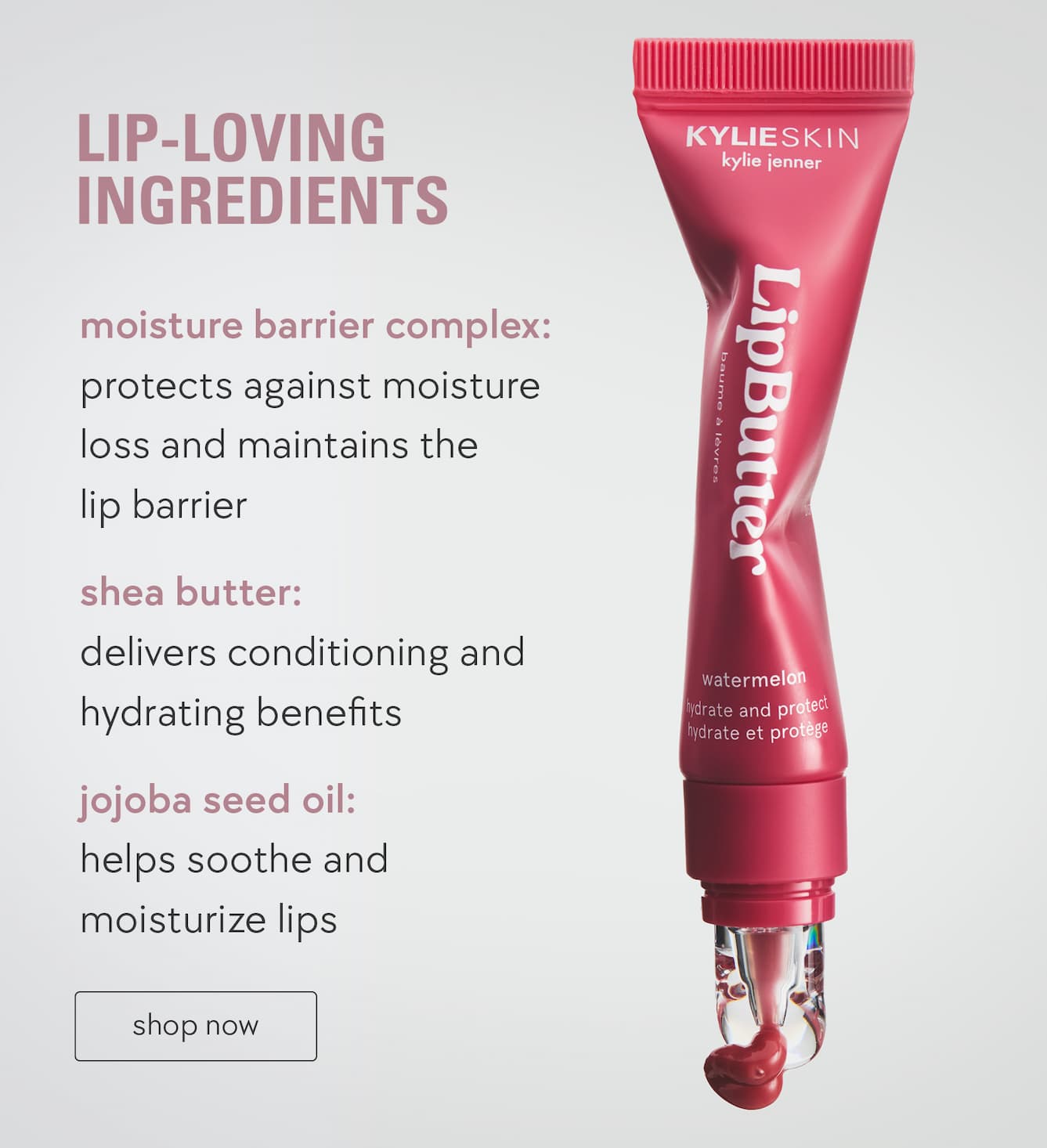 lip-loving ingredients