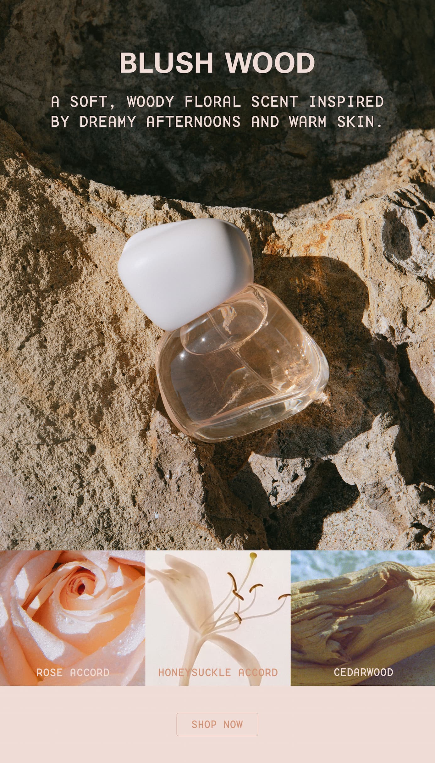 Blush Wood - a soft, woody floral scent inspired by dreamy afternoons and warm skin. 