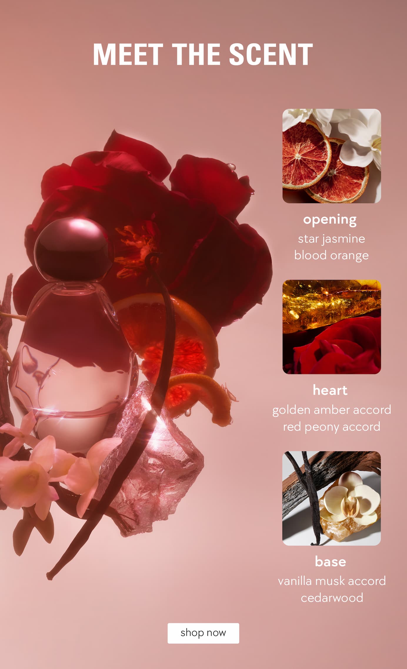 meet the scent
