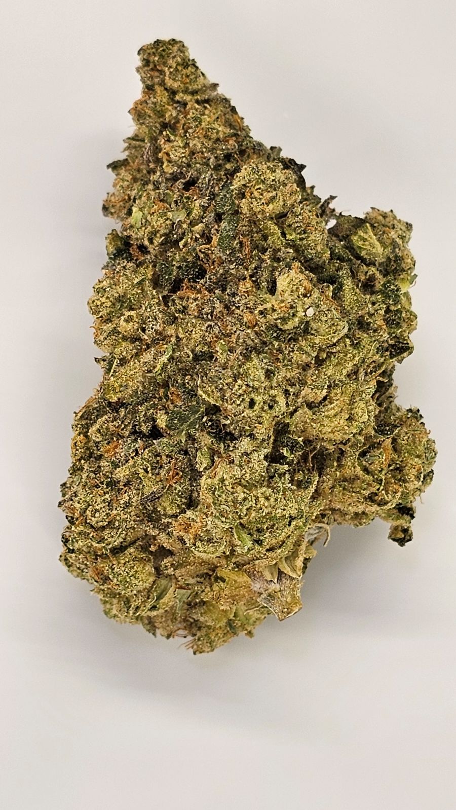 Paradise Hemp Company - CBD, Hemp, Cannabis Dispensary - Murfreesboro Location storefront or retail location in Murfreesboro, TN