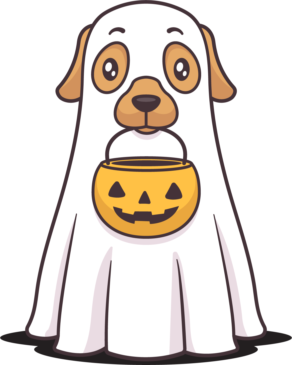 contact-us-pet-wants-fresh-local-pet-food