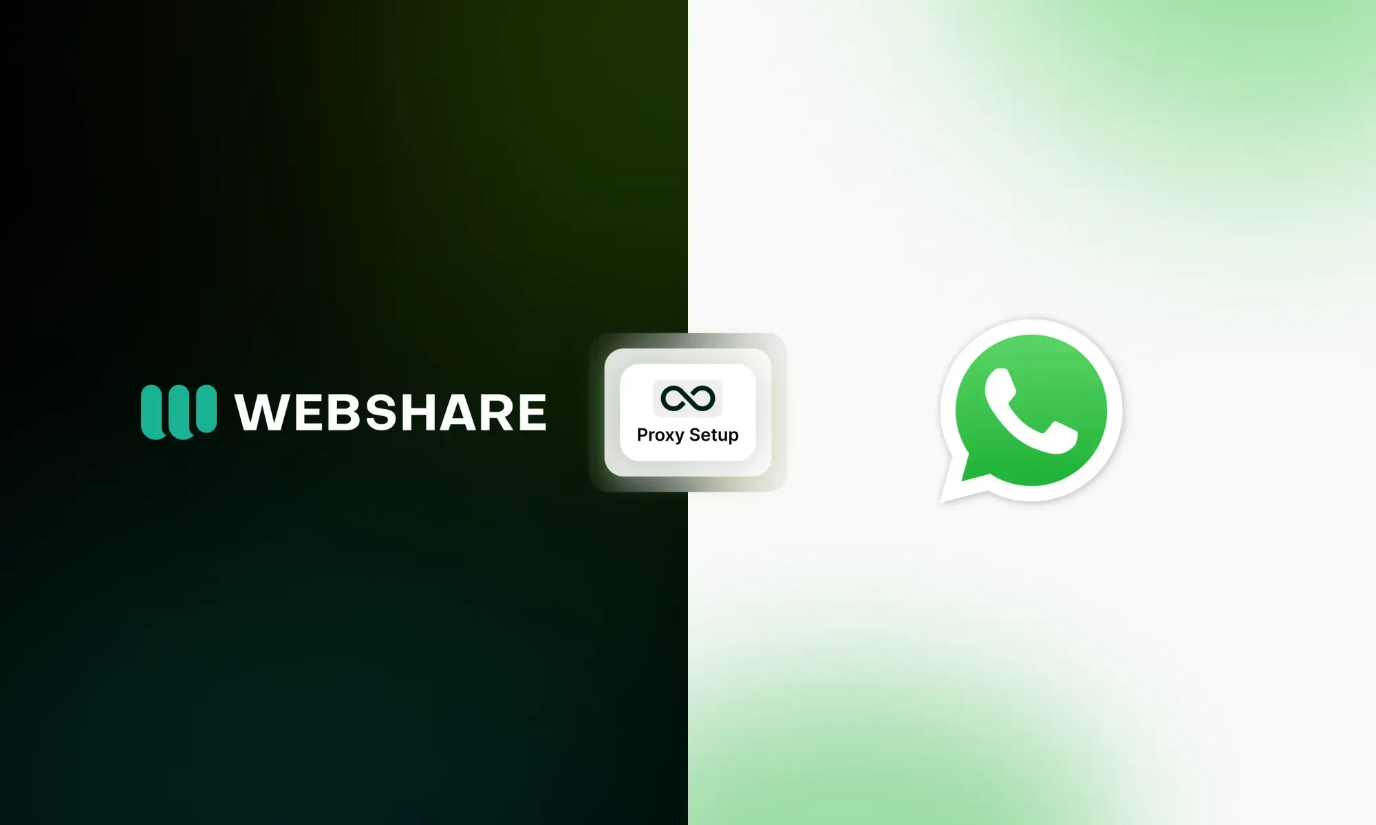 webshare and whatsapp proxy 