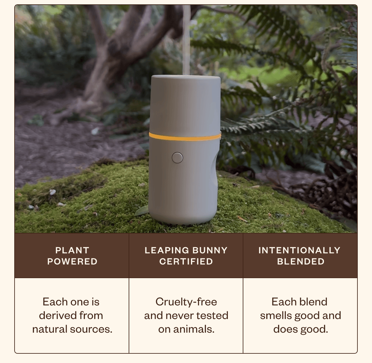 Plant Powered, Leaping Bunny Certified, Intentionally Blended