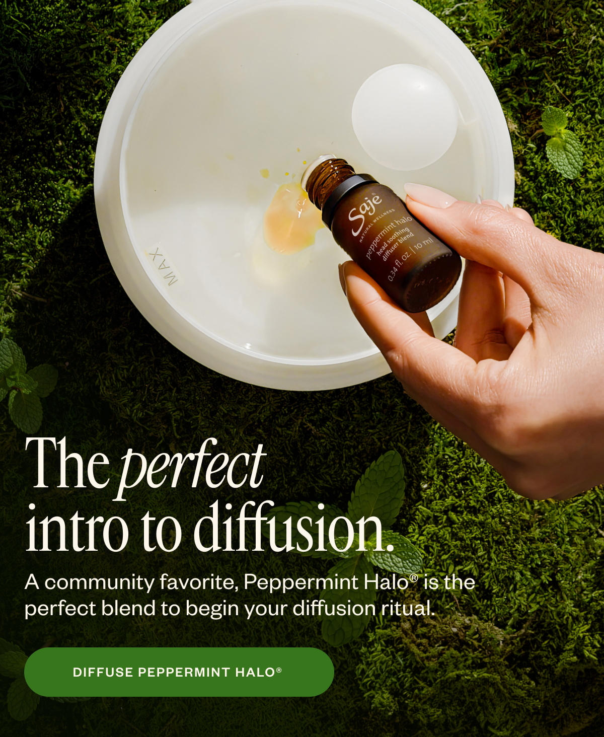 The perfect intro to diffusion