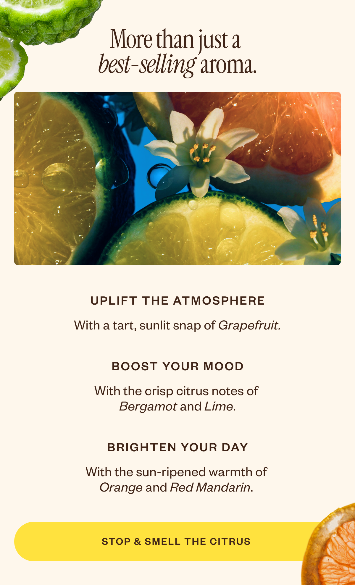 More than just a best-selling aroma