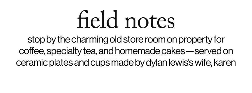 field notes - ​stop by the charming old store room on property for  coffee, specialty tea, and homemade cakes—served on ceramic plates and cups made by dylan lewis’s wife, karen