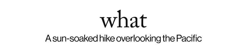 what - A sun-soaked hike overlooking the Pacific