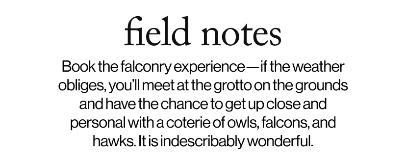 field notes - Book the falconry experience—if the weather obliges, you’ll meet at the grotto on the grounds and have the chance to get up close and personal with a coterie of owls, falcons, and hawks. It is indescribably wonderful.