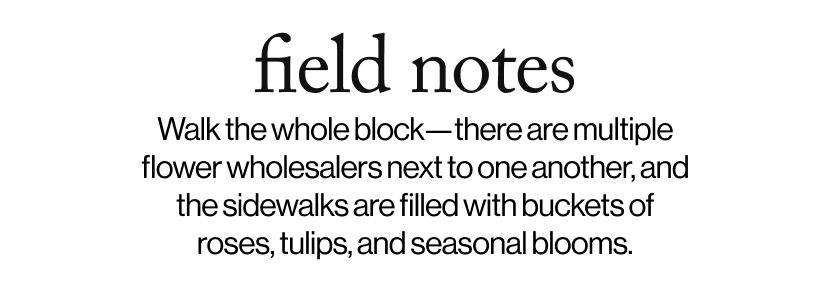 field notes - Walk the whole block—there are multiple flower wholesalers next to one another, and the sidewalks are filled with buckets of roses, tulips, and seasonal blooms.