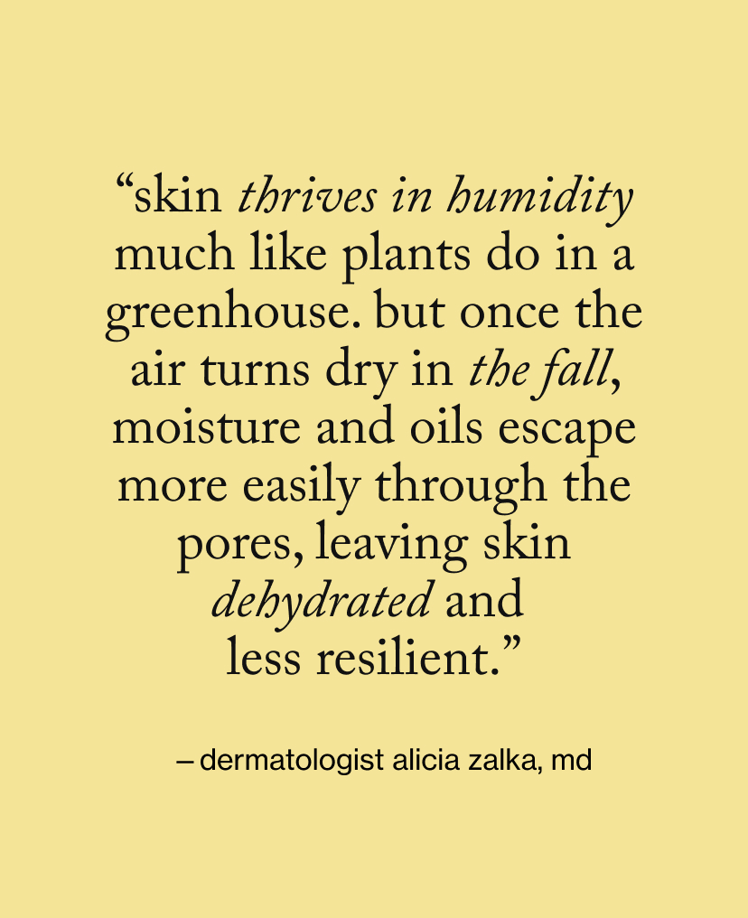 “Skin thrives in humidity much like plants do in a greenhouse. But once the air turns dry in the fall, moisture and oils escape more easily through the pores, leaving skin dehydrated and  less resilient.”