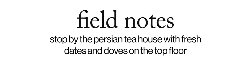 field notes - stop by the persian tea house with fresh dates and doves on the top floor