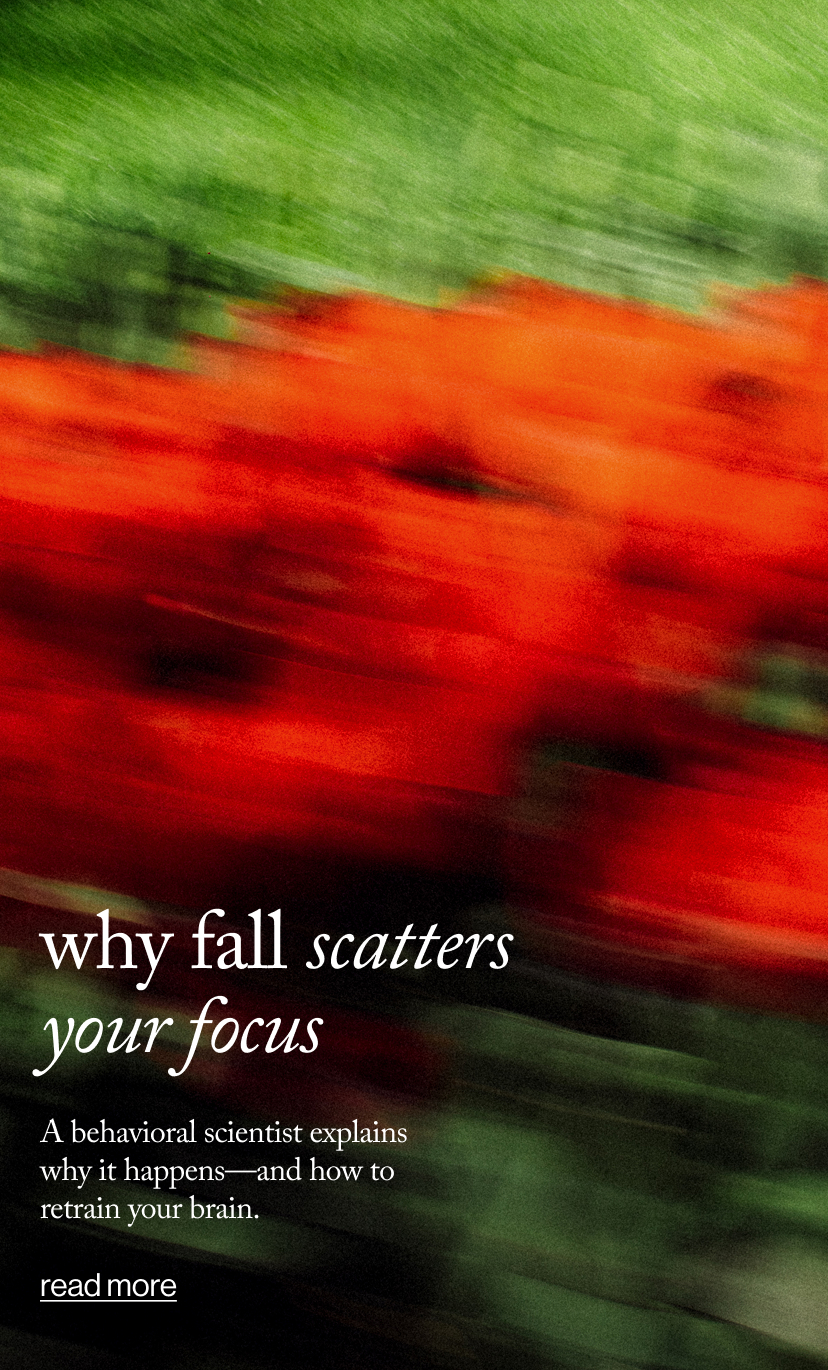 why fall scatters  your focus