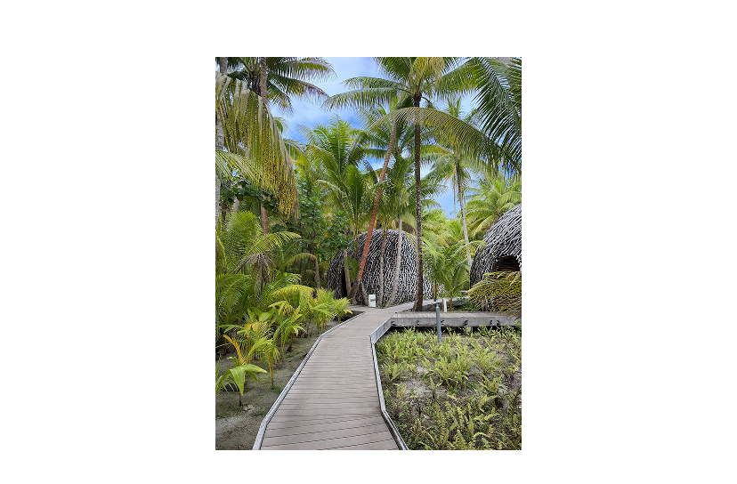 where - Varua Te Ora Polynesian Spa at the Brando, Tetiaroa, French Polynesia