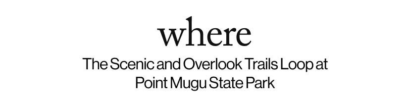 where - The Scenic and Overlook Trails Loop at Point Mugu State Park