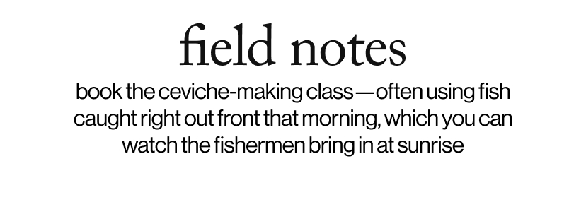 field notes - book the ceviche-making class—often using fish caught right out front that morning, which you can watch the fishermen bring in at sunrise