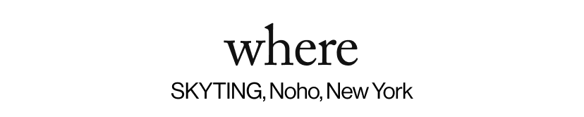 where - SKYTING, Noho, New York  