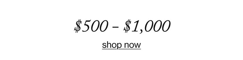 $500 - $1,000