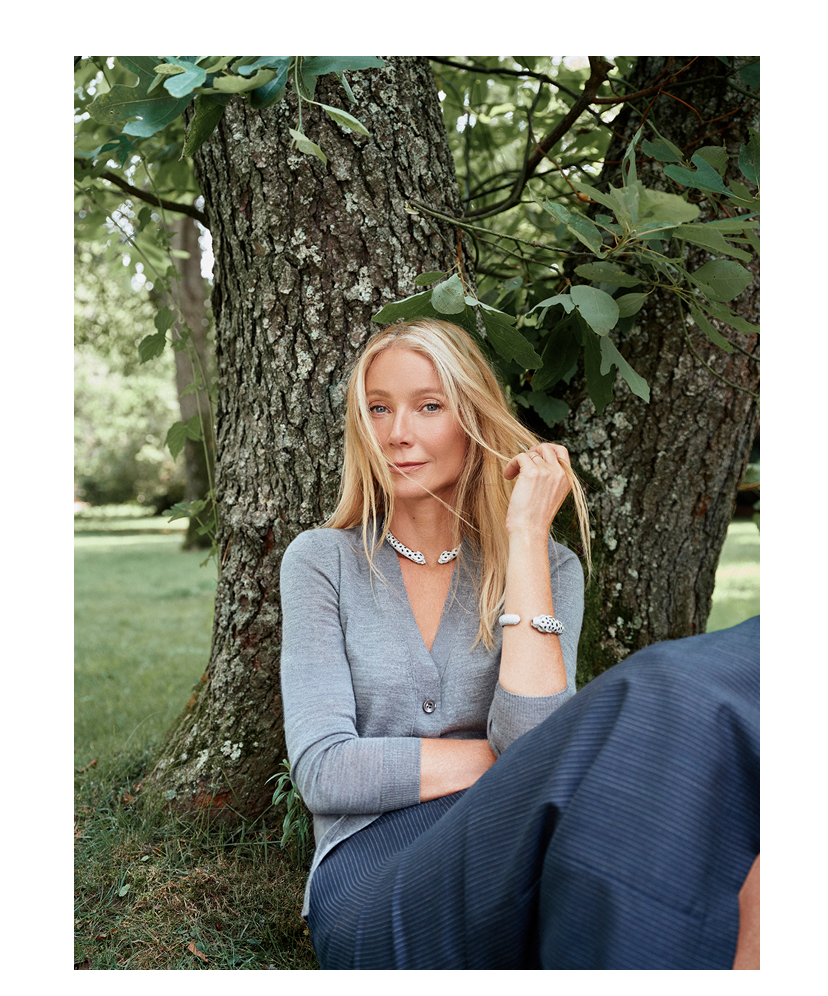 the classic v-neck cardigan