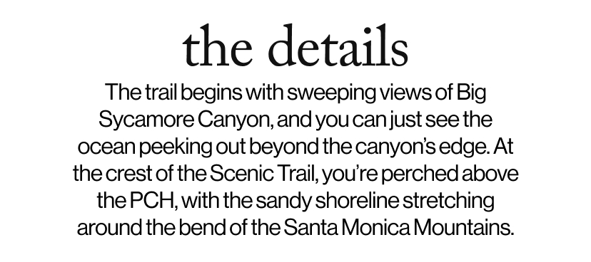 the details - The trail begins with sweeping views of Big Sycamore Canyon, and you can just see the ocean peeking out beyond the canyon’s edge. At the crest of the Scenic Trail, you’re perched above the PCH, with the sandy shoreline stretching around the bend of the Santa Monica Mountains. 