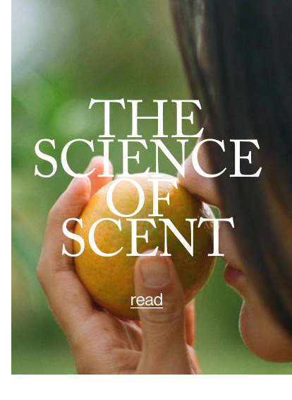 THE SCIENCE OF  SCENT