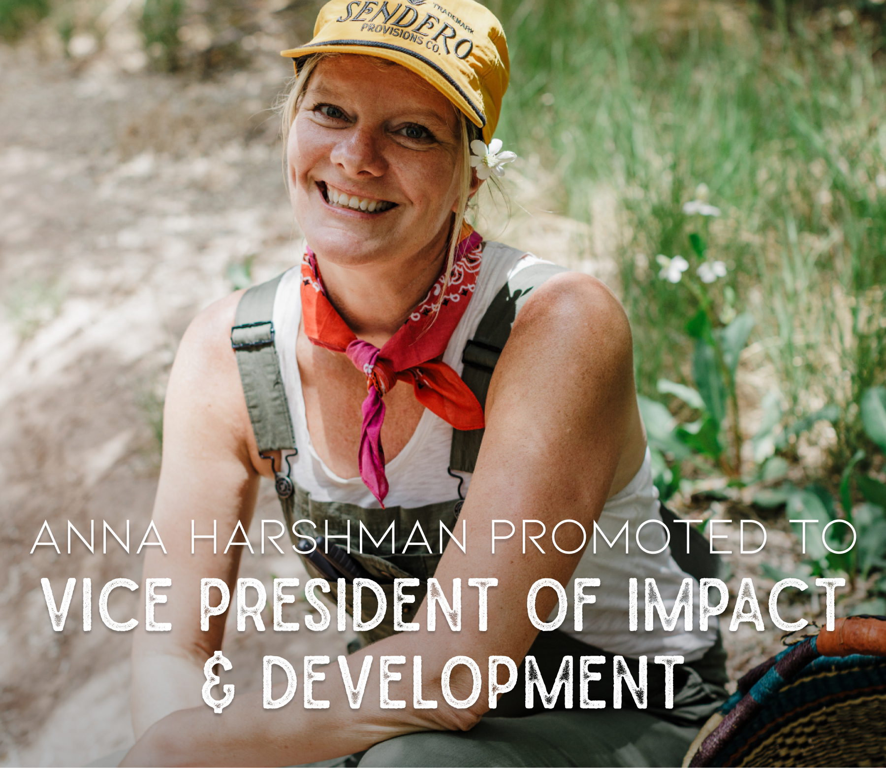 anna harshman promoted to Vice President of Impact & Development