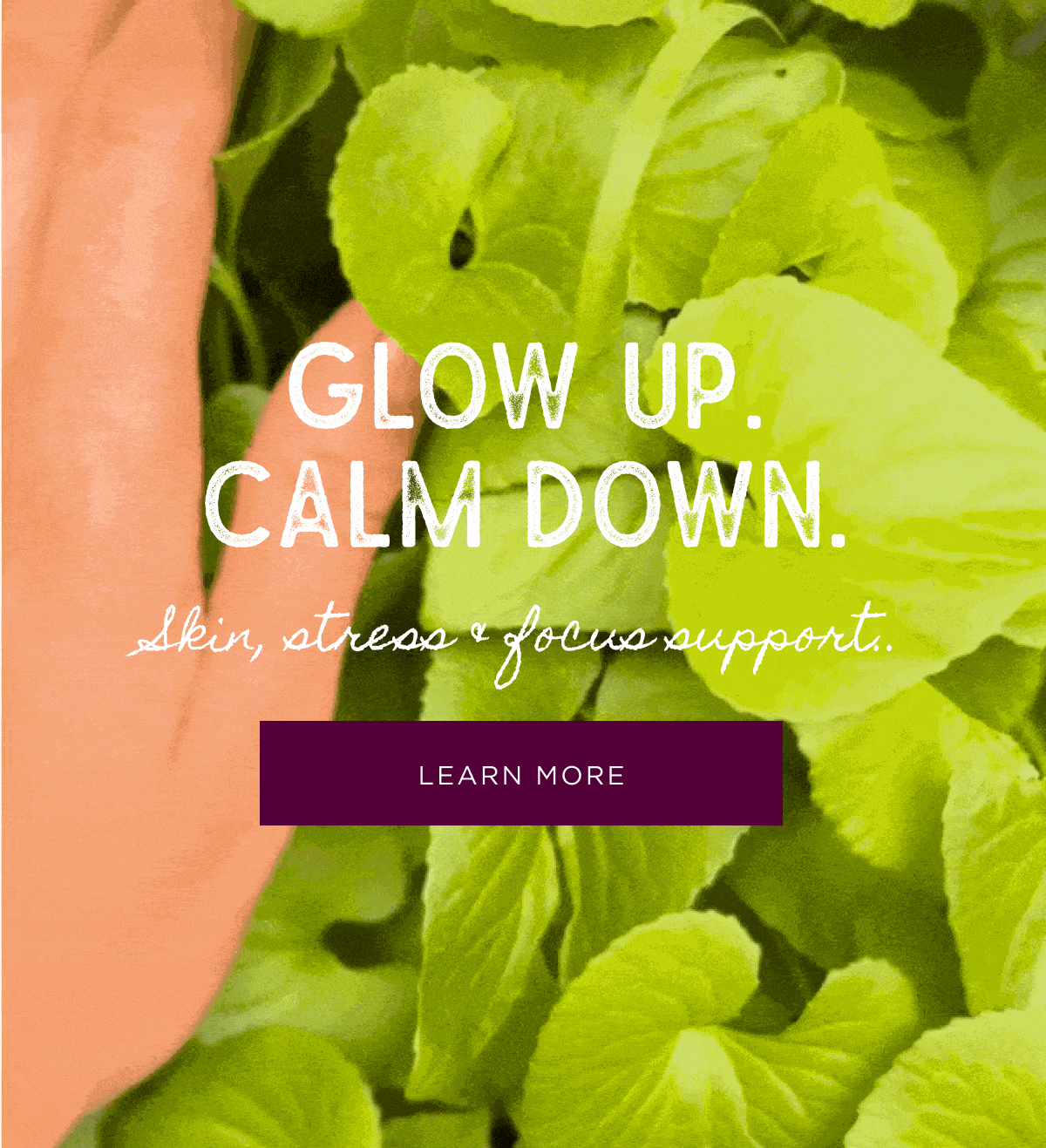 Glow up. Calm down. Skin, stress, and focus support. Learn More.